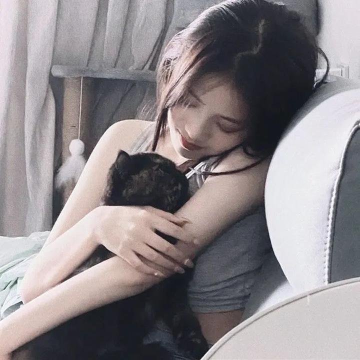 博多豚骨拉面团