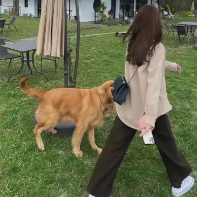 盲侠破三关