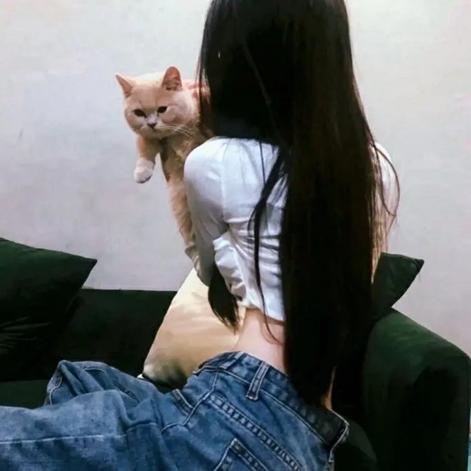 帕西法尔
